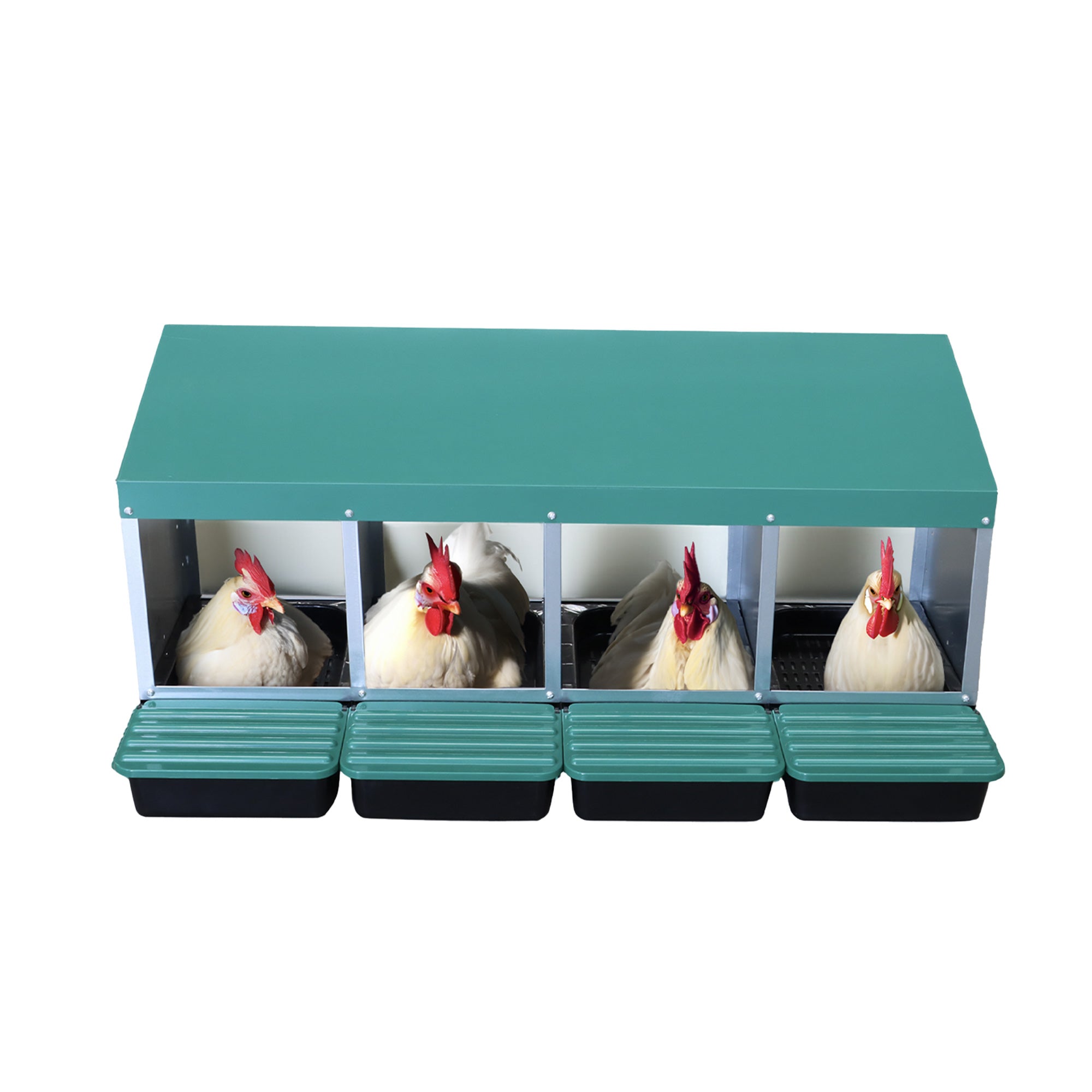 Laying Nest Box ZL04