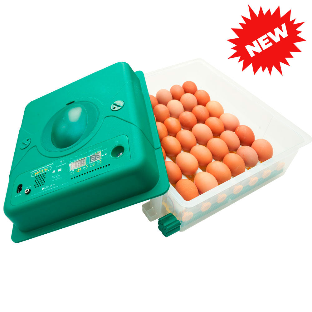 ZOOM FARM Egg Incubator Z36 (for Chicken, Duck, Goose & Quail Eggs