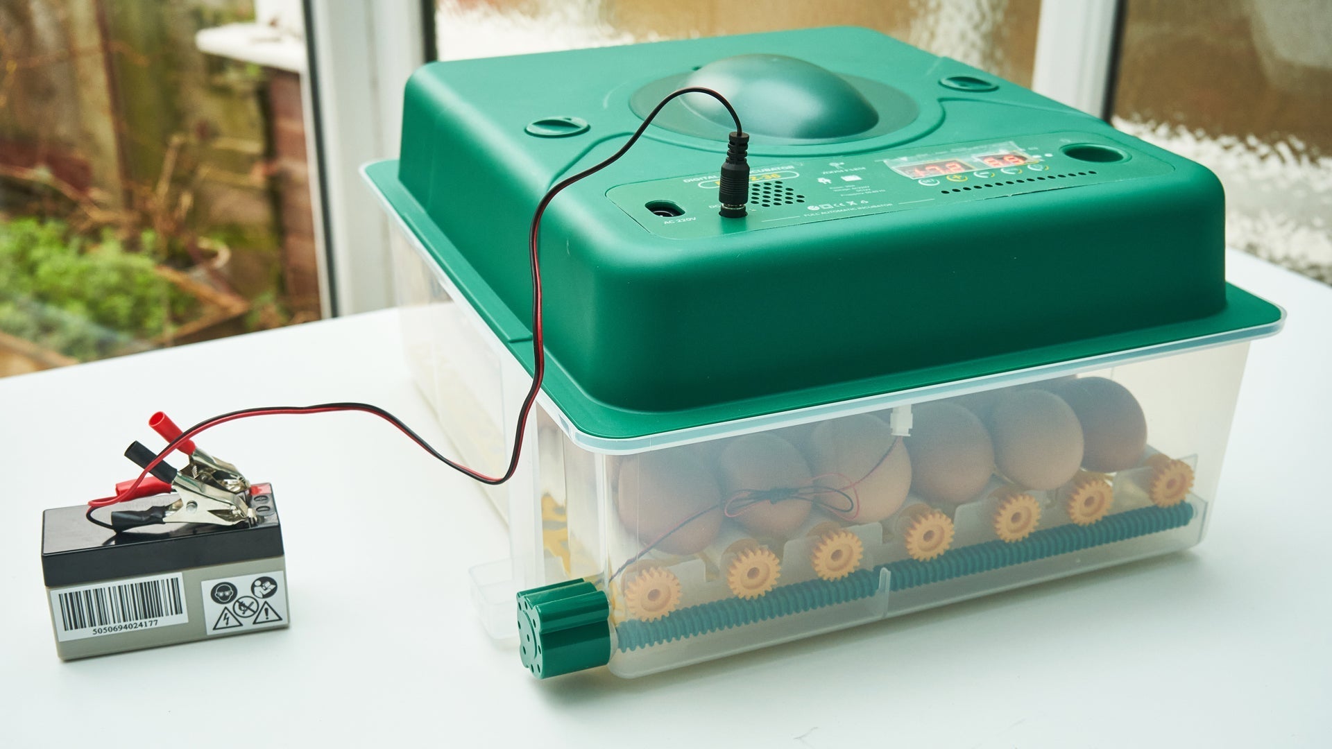 (VIDEO) Why You Need a Battery Backup for Your Egg Incubator