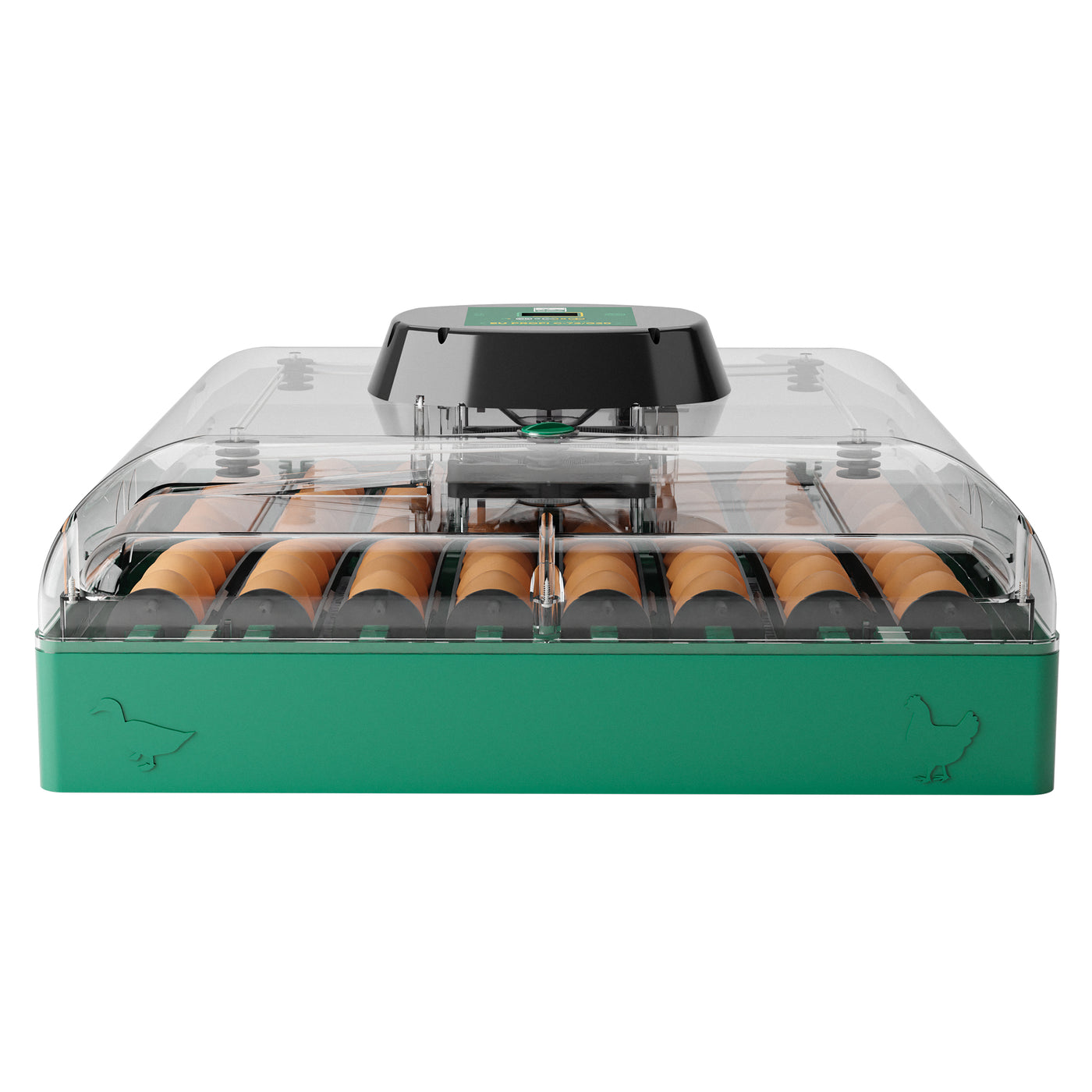 Egg Incubator C-72