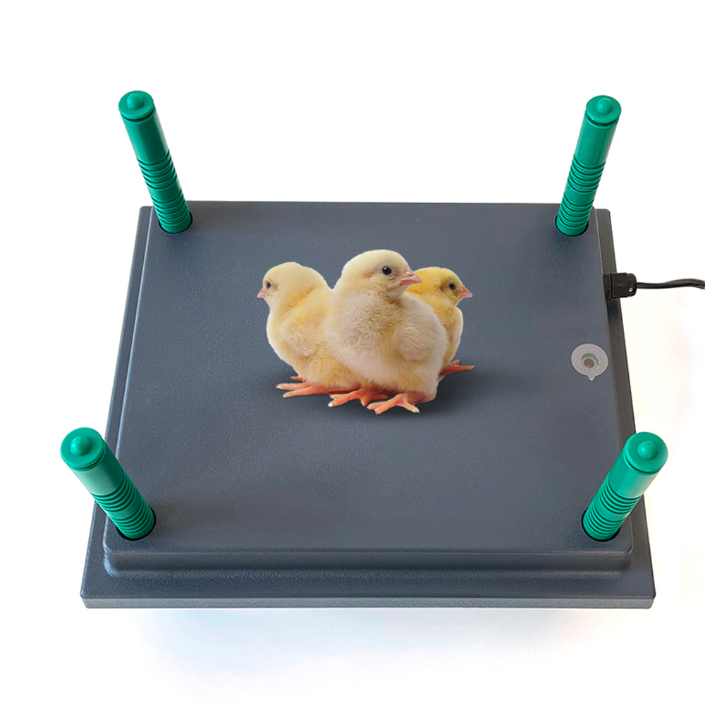 Heating Plate for chicks (25x30cm)