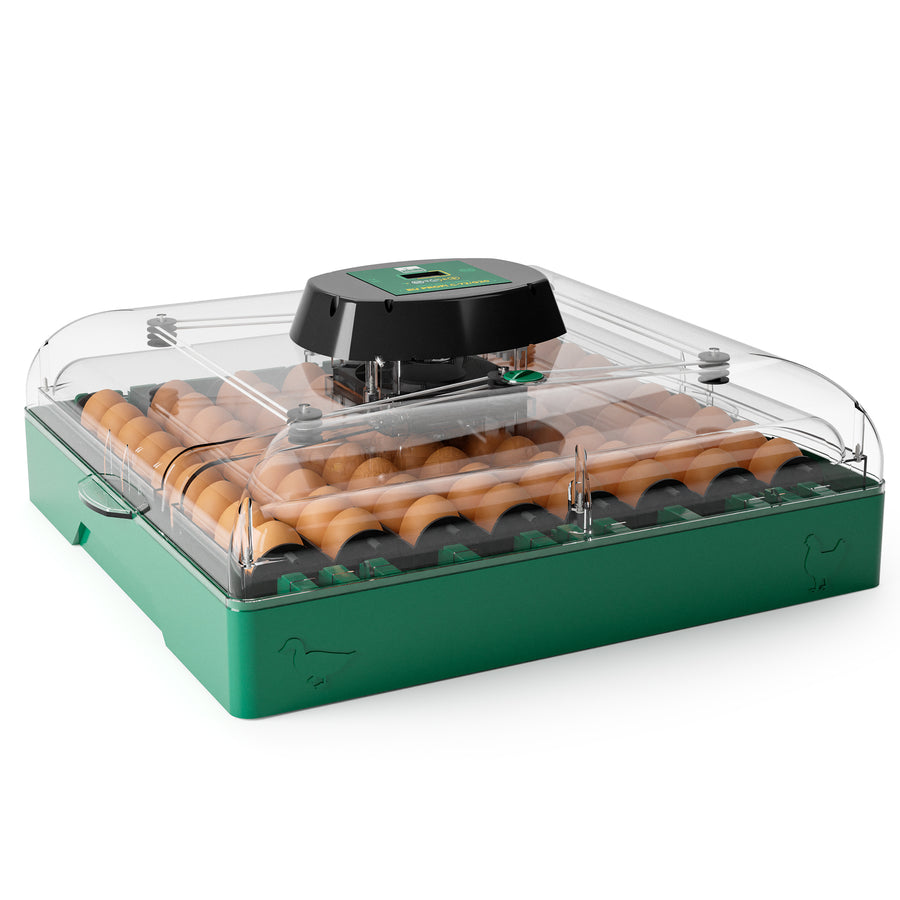 Egg Incubator C-72