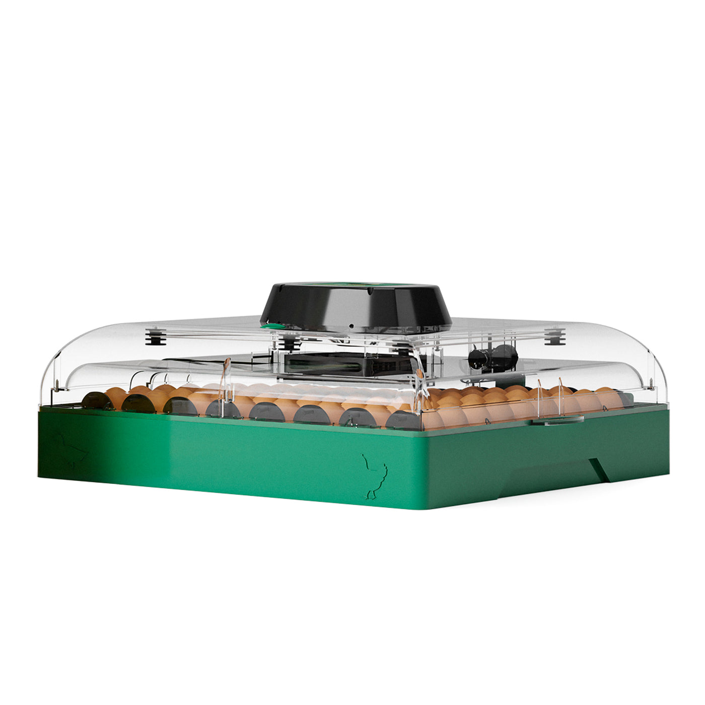 Egg Incubator C-72