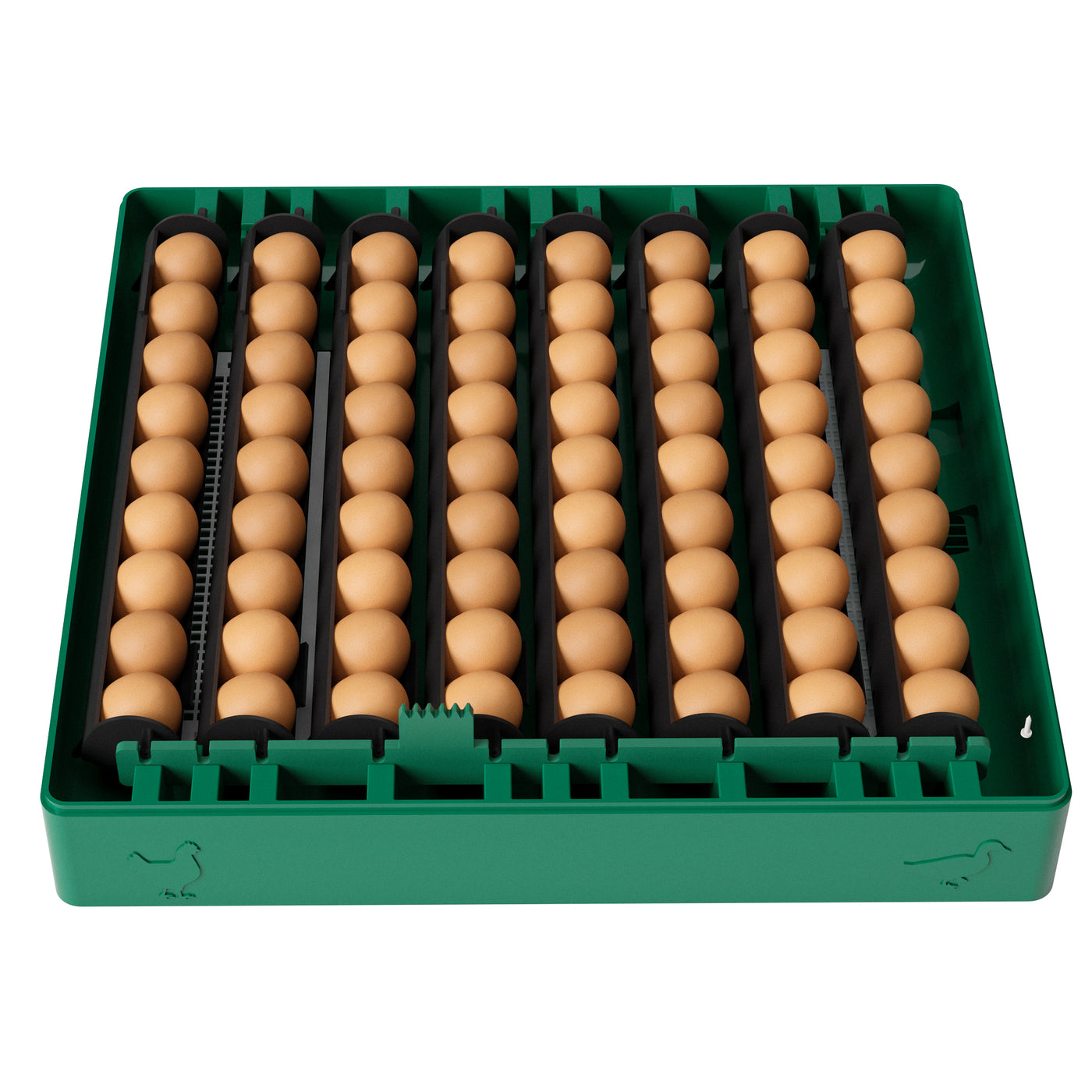 Egg Incubator C-72