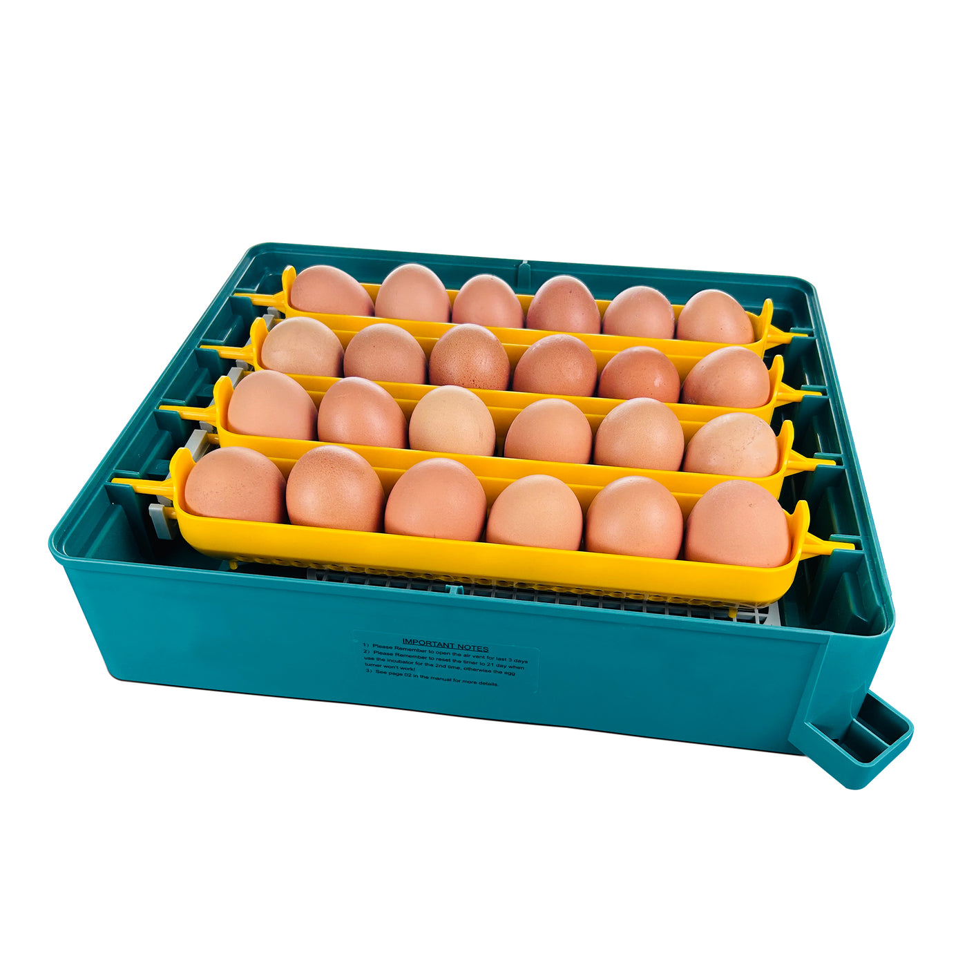 Egg Incubator C-24