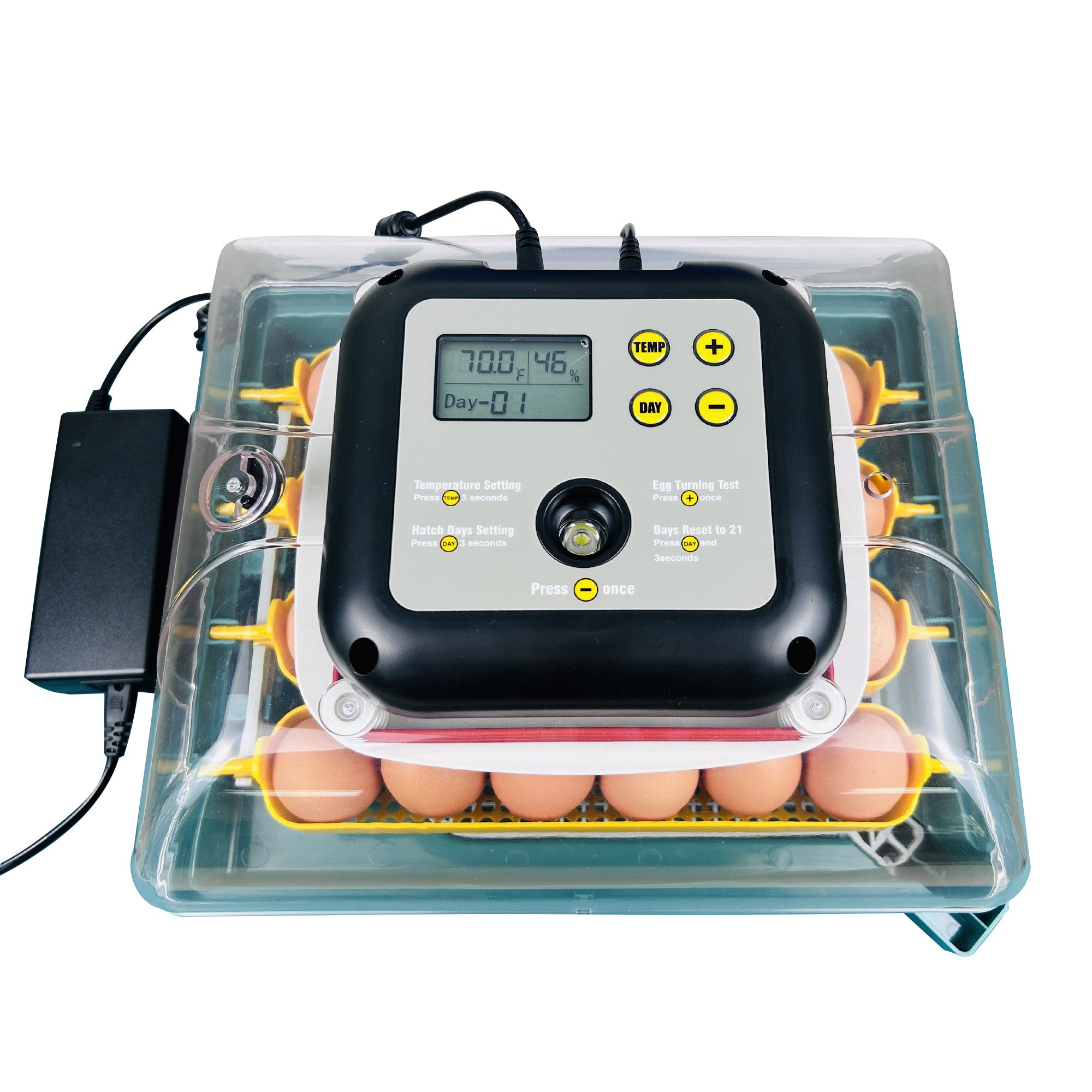 Egg Incubator C-24