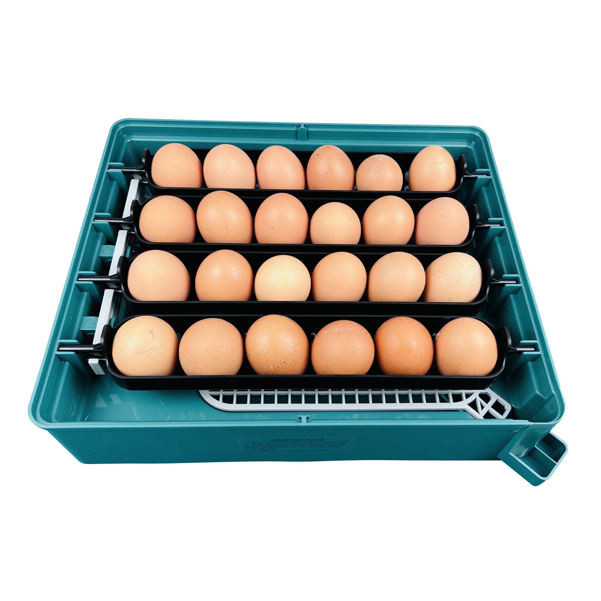 Egg Incubator C-24