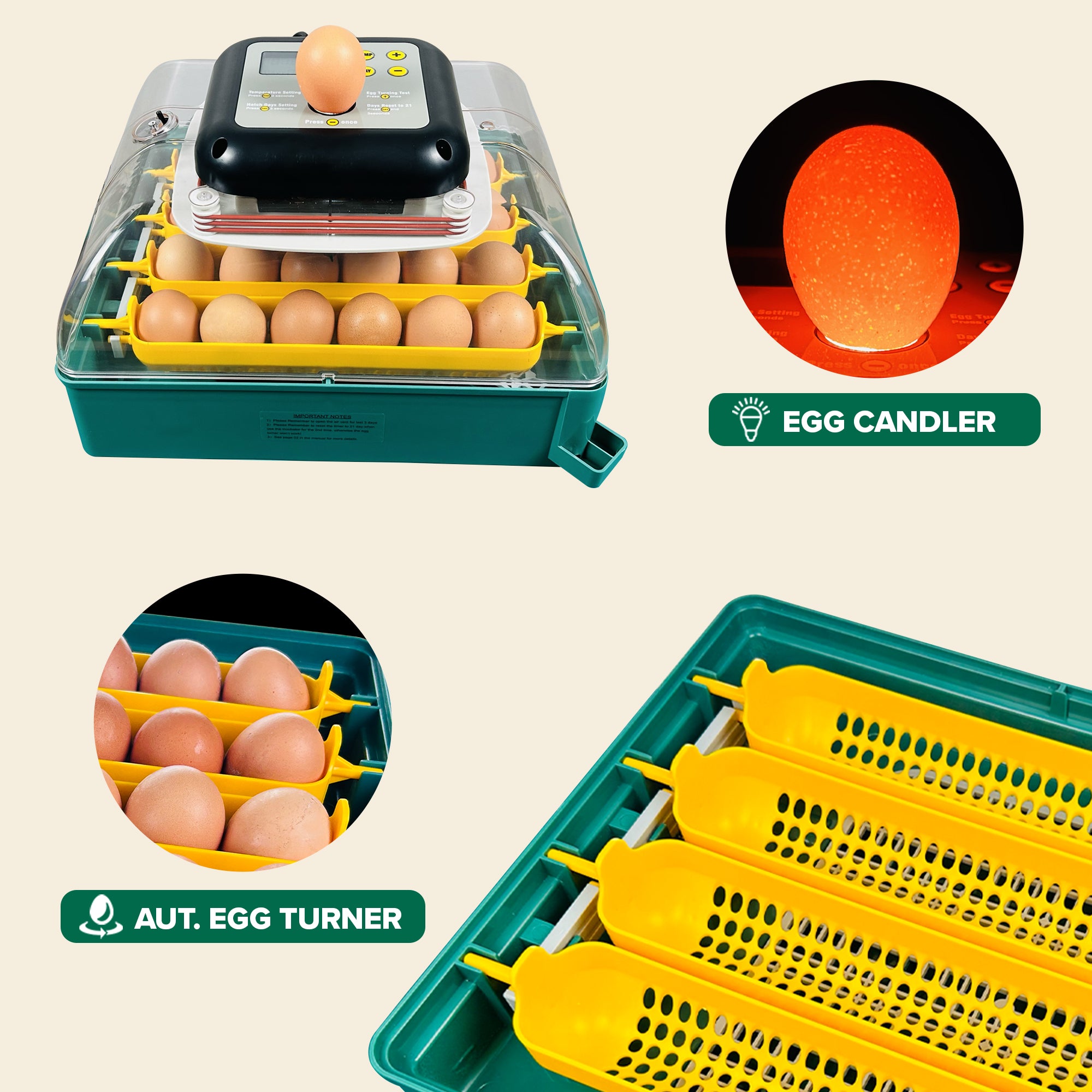 Egg Incubator C-24