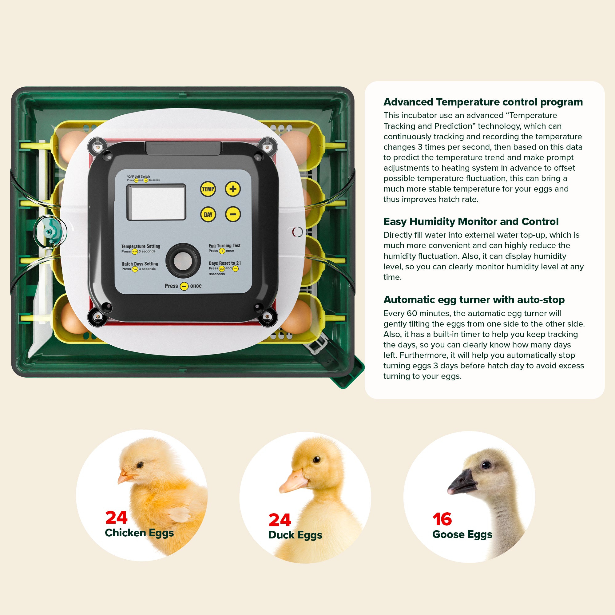 Egg Incubator C-24