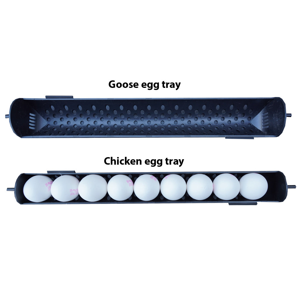 ZOOM FARM C72 Large Egg Tray 5 Set