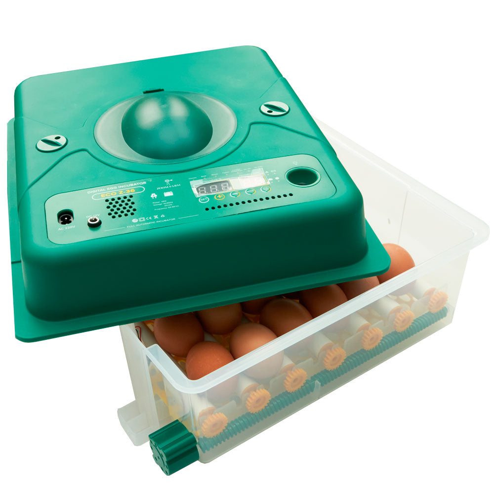 ZOOM FARM Egg Incubator Z36 (for Chicken, Duck, Goose & Quail Eggs