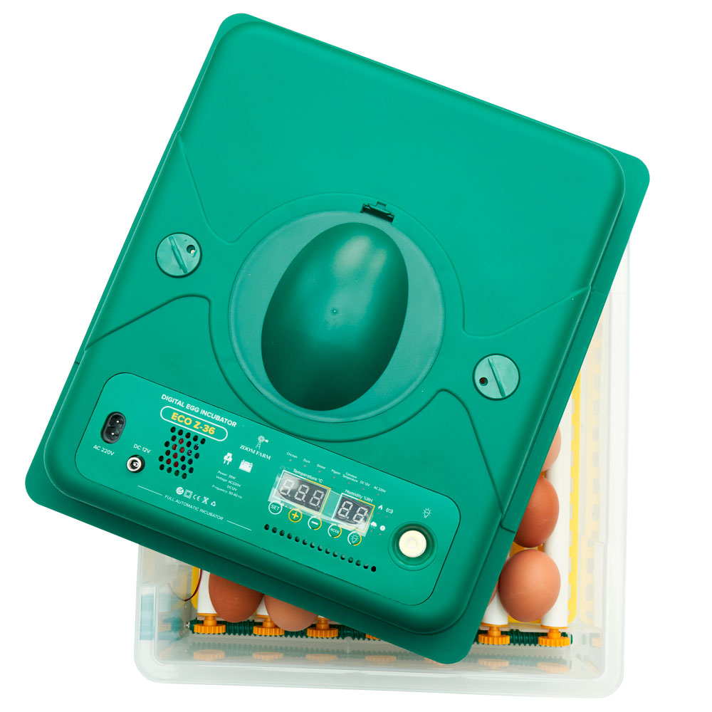 ZOOM FARM Egg Incubator Z36 (for Chicken, Duck, Goose & Quail Eggs