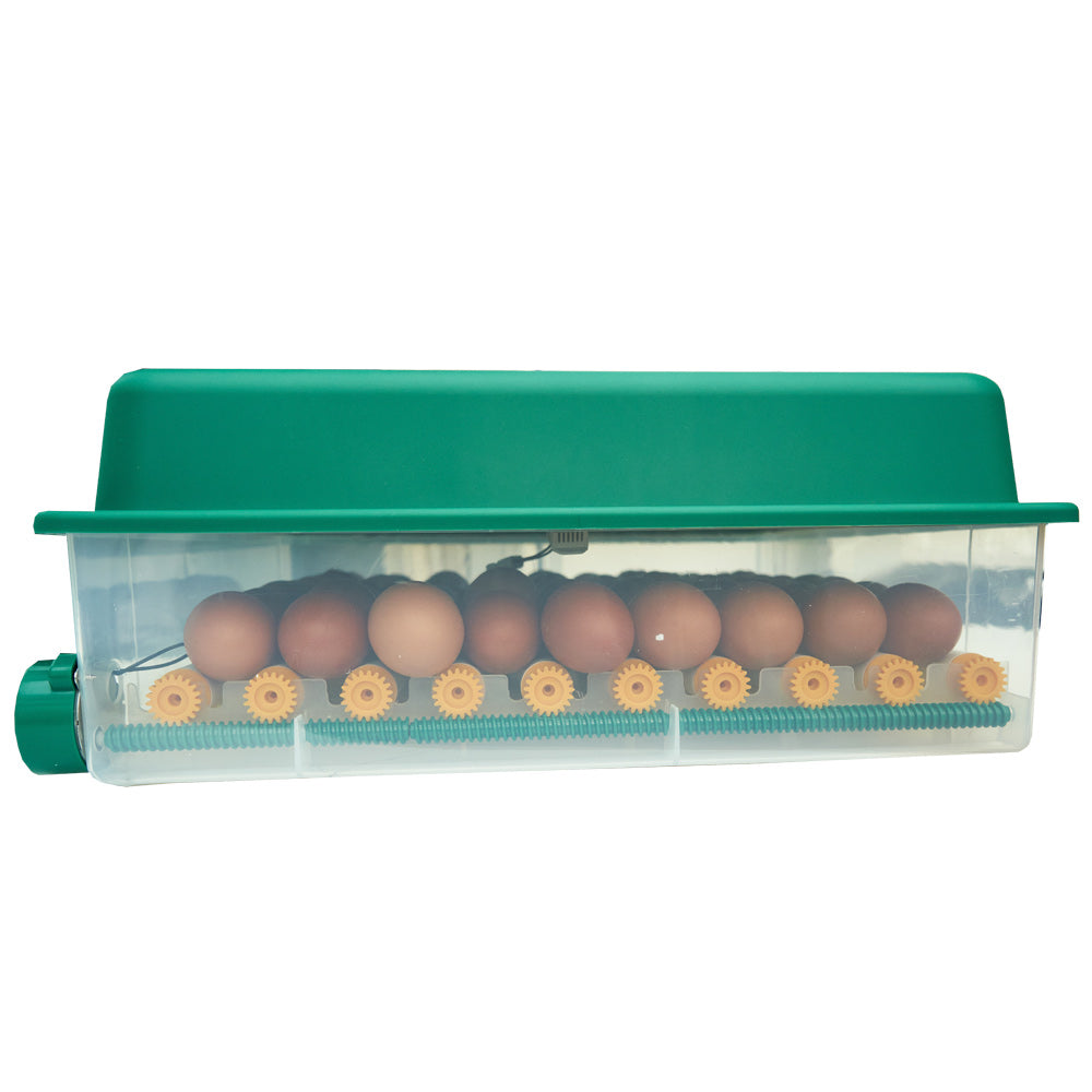 ZOOM FARM Egg Incubator Z70 (for Chicken, Duck, Goose & Quail Eggs)