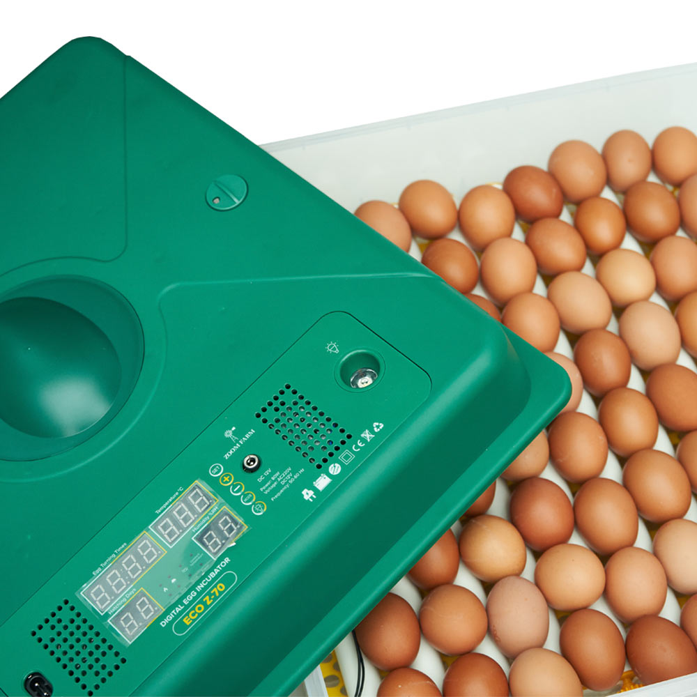 ZOOM FARM Egg Incubator Z70 (for Chicken, Duck, Goose & Quail Eggs)